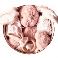 BUNNY BABYBOX - sorry out of stock